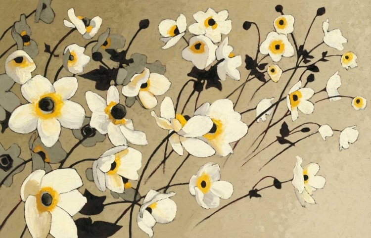 Picture of ANEMONES JAPONAISES BLANCS