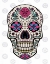 Picture of SUGAR SKULL ON GRAY