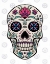 Picture of SUGAR SKULL II ON GRAY