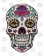 Picture of SUGAR SKULL III ON GRAY