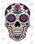 Picture of SUGAR SKULL IV ON GRAY