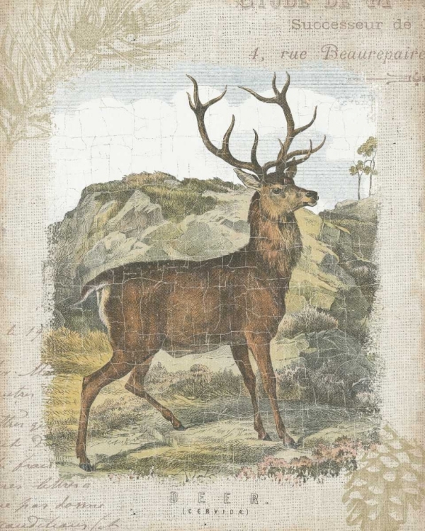 Picture of WOODLAND STAG I
