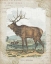 Picture of WOODLAND STAG II
