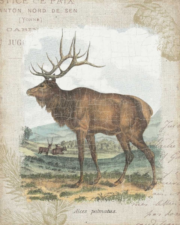 Picture of WOODLAND STAG II