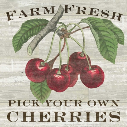 Picture of FARM FRESH CHERRIES