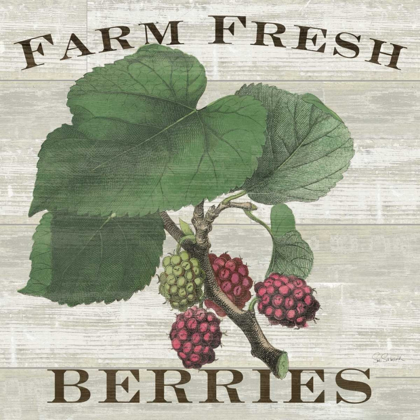 Picture of FARM FRESH RASPBERRIES