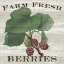 Picture of FARM FRESH RASPBERRIES