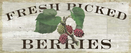 Picture of FARM FRESH RASPBERRIES