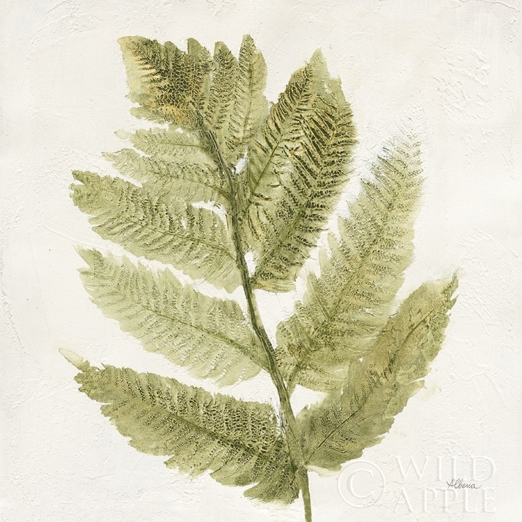 Picture of FOREST FERNS I