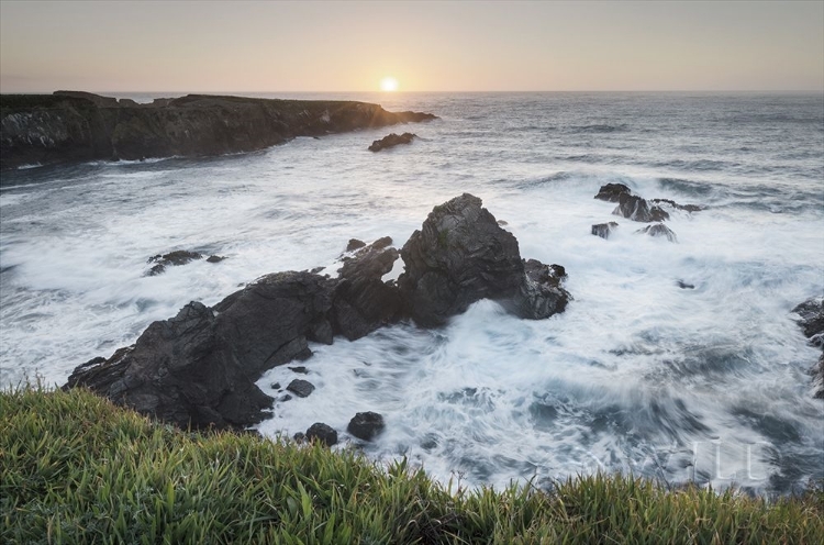 Picture of MENDOCINO COAST