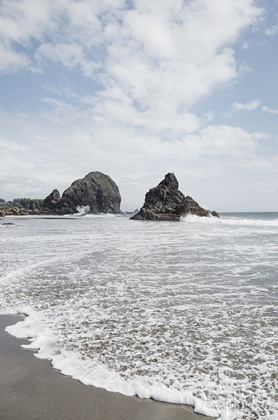 Picture of HARRIS BEACH OREGON