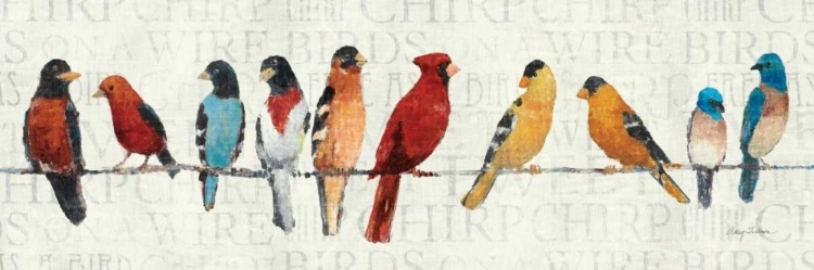 Picture of THE USUAL SUSPECTS - BIRDS ON A WIRE