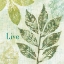Picture of NATURES IMPRESSIONS I