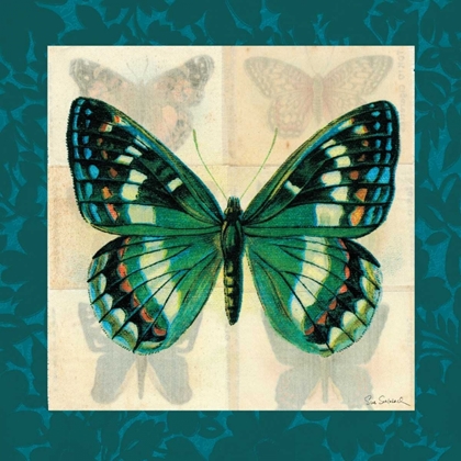 Picture of SILK BUTTERFLY II