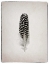 Picture of FEATHER I BW 