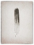 Picture of FEATHER II BW 