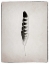 Picture of FEATHER IV BW 