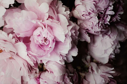Picture of PEONIES GALORE I