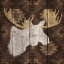 Picture of PRECIOUS ANTLERS IV
