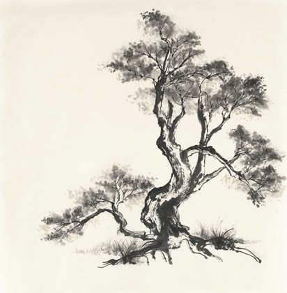 Picture of SUMI TREE I