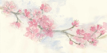 Picture of CHERRY BLOSSOM II