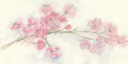 Picture of CHERRY BLOSSOM I