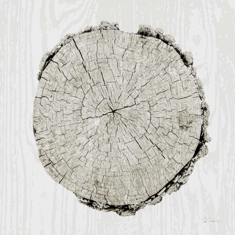 Picture of WOODLAND YEARS II 
