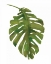 Picture of TROPICAL PALM I