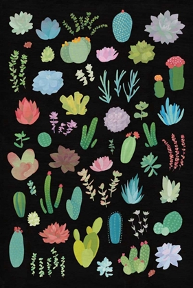 Picture of SUCCULENT CHART I