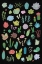 Picture of SUCCULENT CHART I