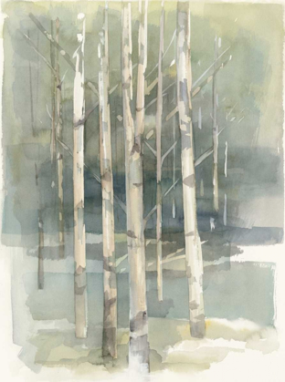 Picture of BIRCH GROVE I