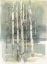 Picture of BIRCH GROVE I