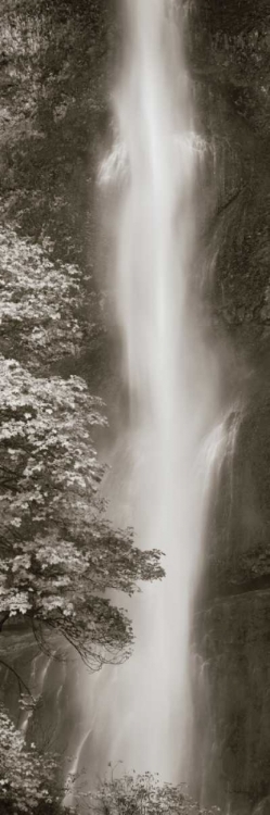 Picture of MULTNOMAH FALLS PANEL