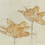Picture of FRAGILE II