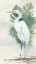 Picture of STANDING EGRET II CROP