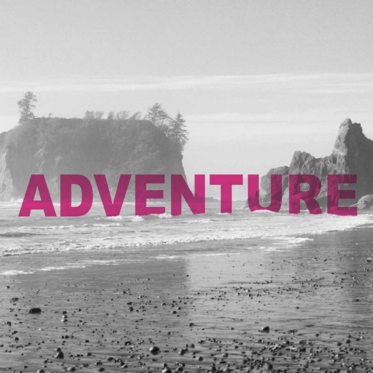 Picture of BOLD ADVENTURES V
