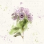 Picture of FLORAL SPLASH III