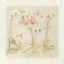 Picture of THE DANCE OF THE ORCHIDS