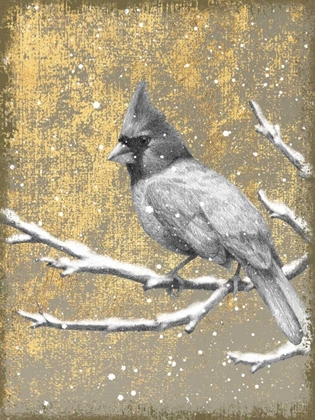 Picture of WINTER BIRDS CARDINAL NEUTRAL