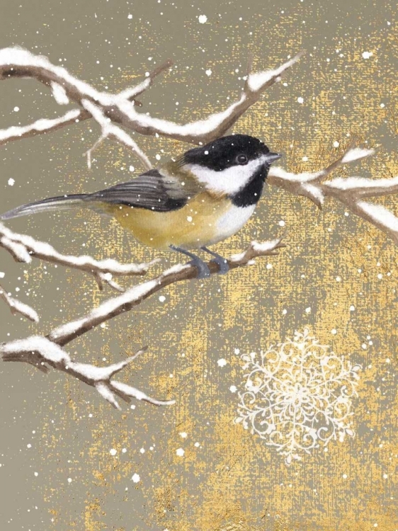 Picture of WINTER BIRDS CHICKADEE COLOR