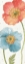 Picture of SPRING SOFTIES V