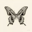 Picture of BUTTERFLY VI BW CROP