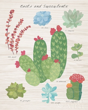 Picture of SUCCULENT AND CACTI CHART IV ON WOOD