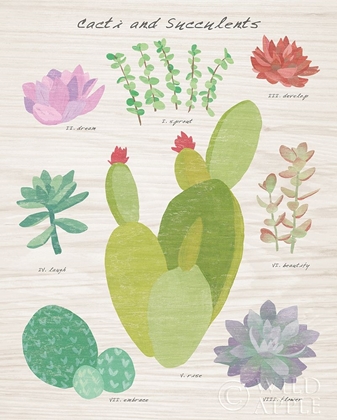 Picture of SUCCULENT AND CACTI CHART III ON WOOD