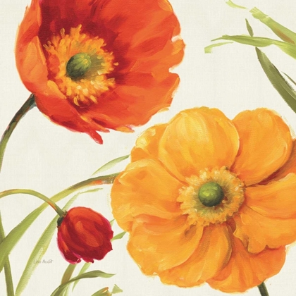 Picture of POPPIES MELODY II
