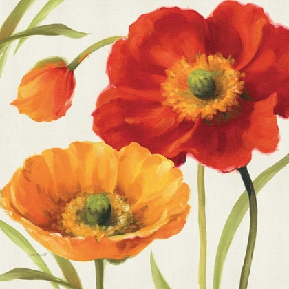 Picture of POPPIES MELODY III