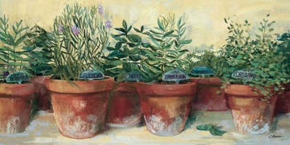 Picture of POTTED HERBS I