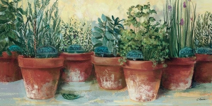 Picture of POTTED HERBS II