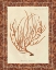 Picture of GORGONIA MINIACEA MARBLE