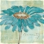 Picture of SPA DAISIES I